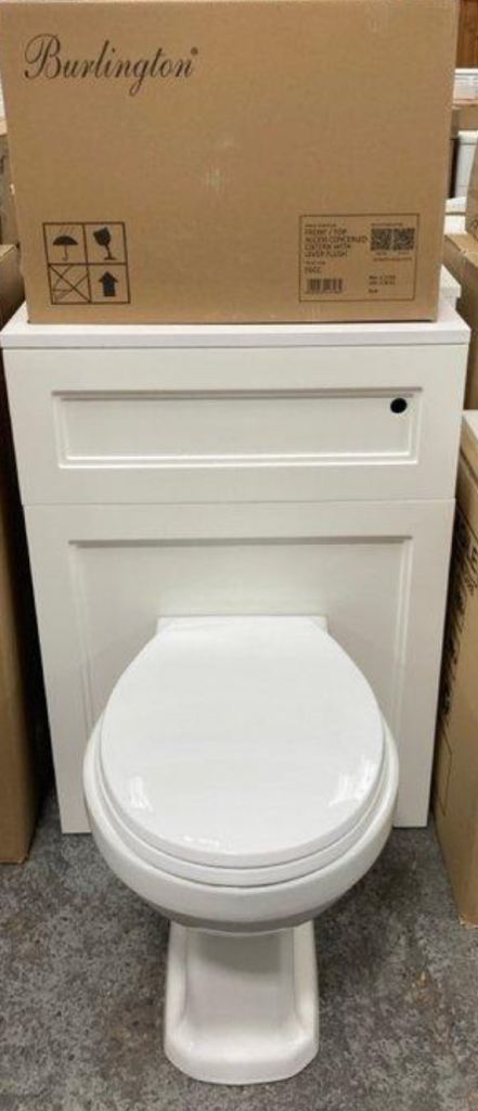 Toilet with concealed cistern