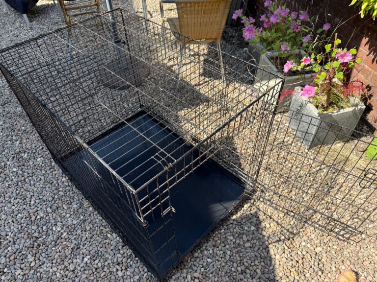 Large dog crate