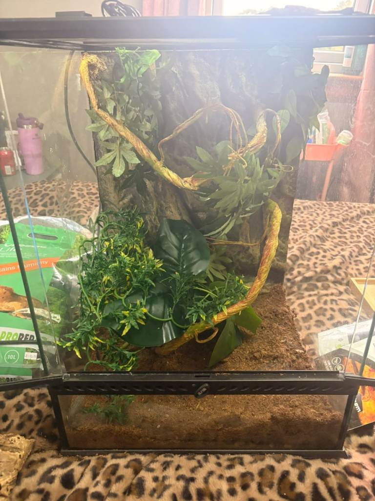 Vivarium 