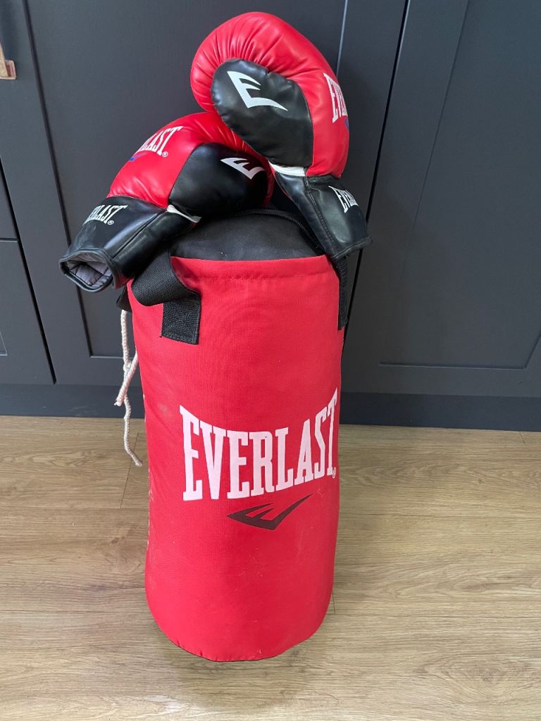 Everlasting junior 2ft punchbag and boxing gloves
