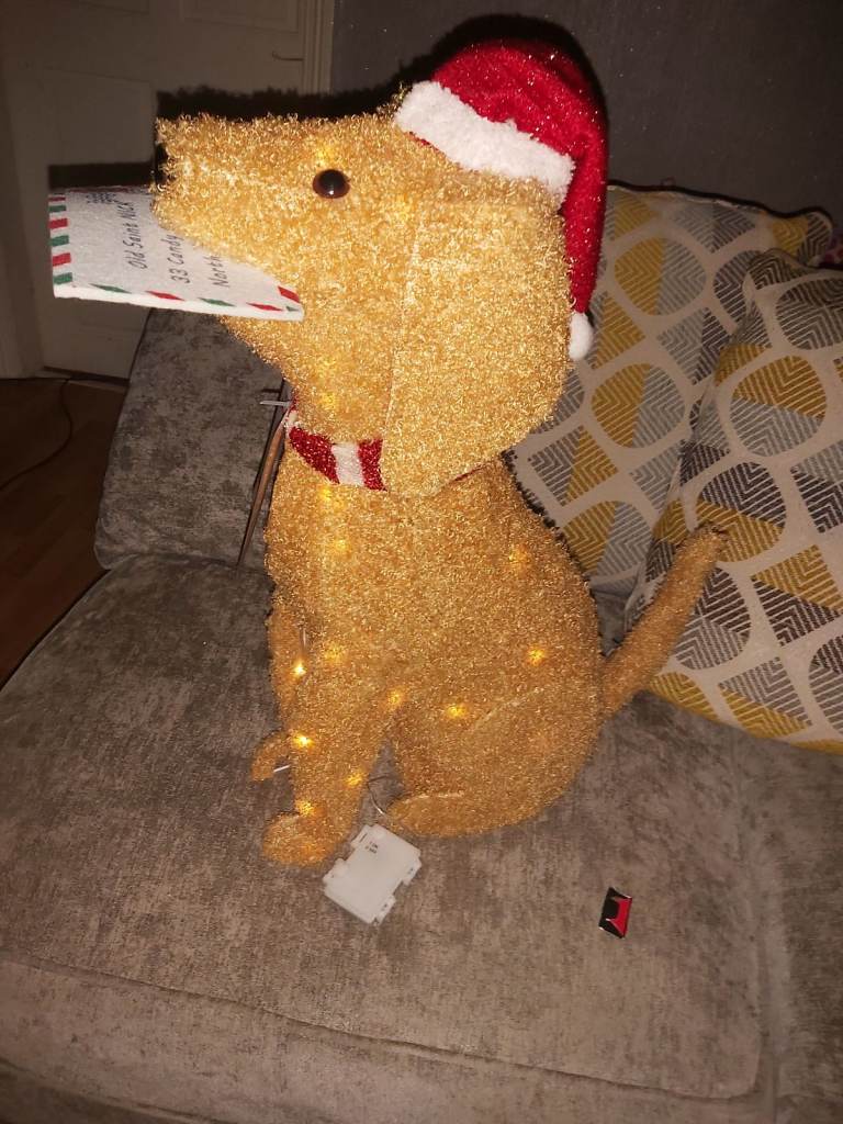 Light up Christmas dog 