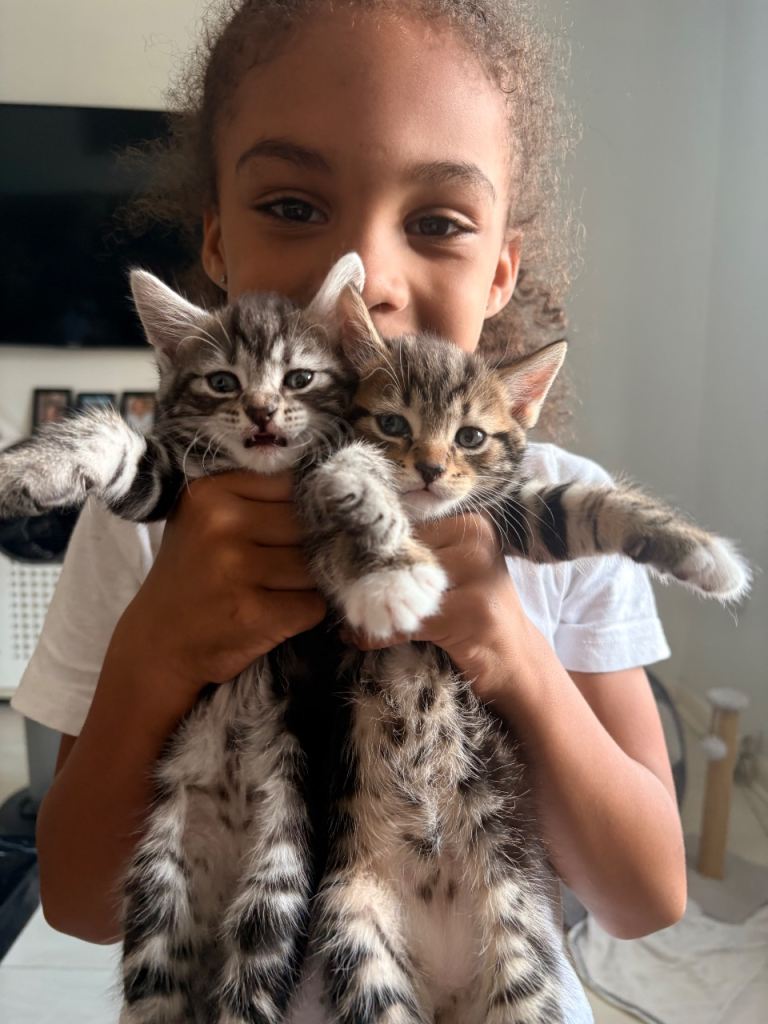 2 girls (Grey and black) 1 boy (brown)