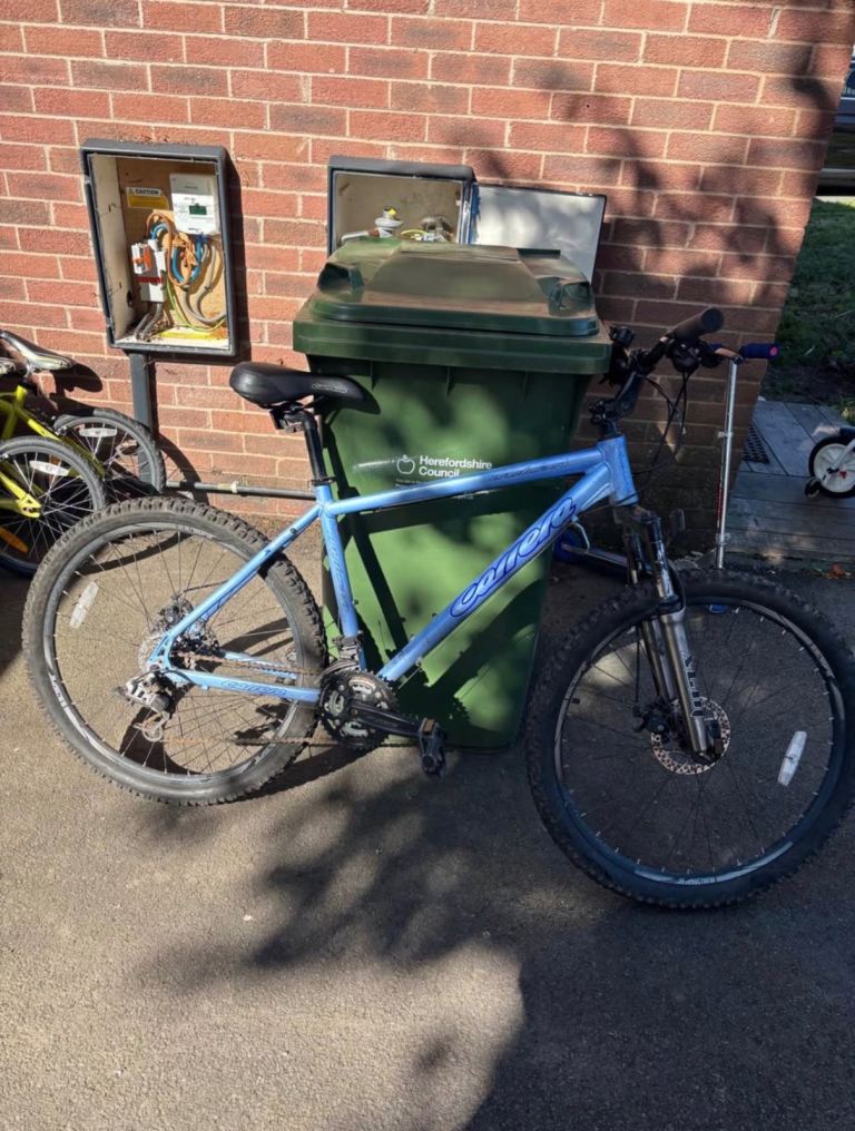 Carrera mountain bike