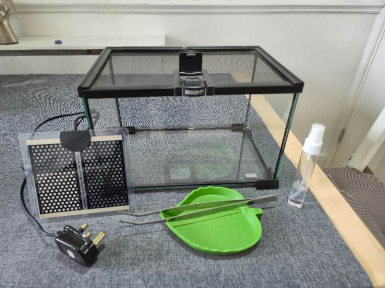 Glass Reptile Enclosure / Terrarium 30 x 20 x 20 cm – Complete Starter Setup
