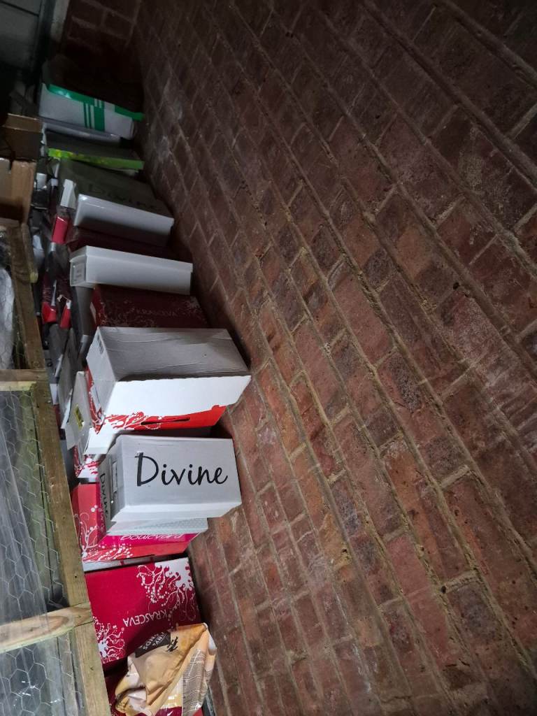 Bulk lot of 170 pairs of mixed womans shoes new in box m