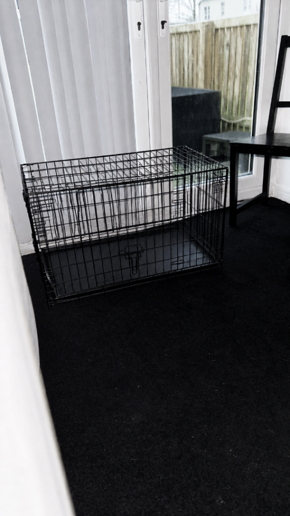 Kong dog crate medium