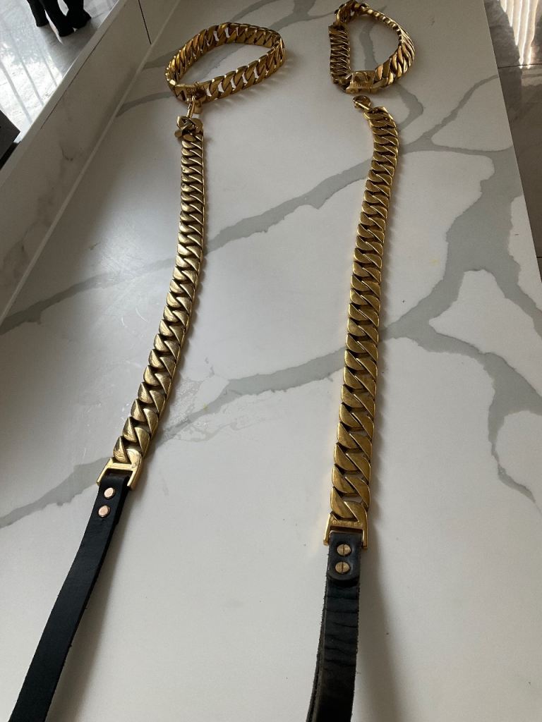 gold dogs leads and gold chain 
