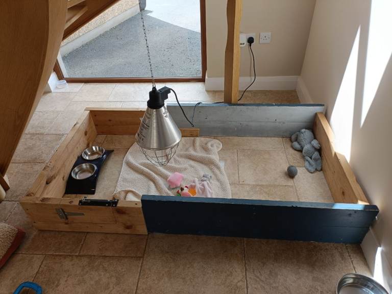 Welping Box/puppy box