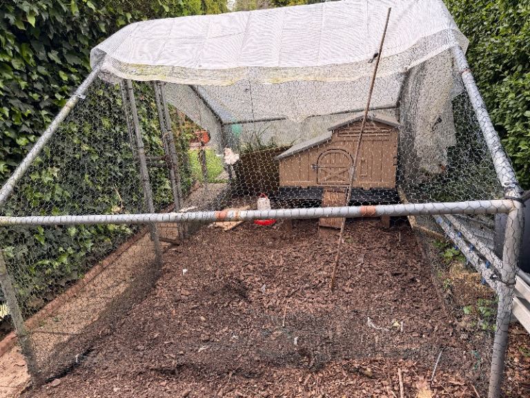 Snap lock plastic hen house and walk in run