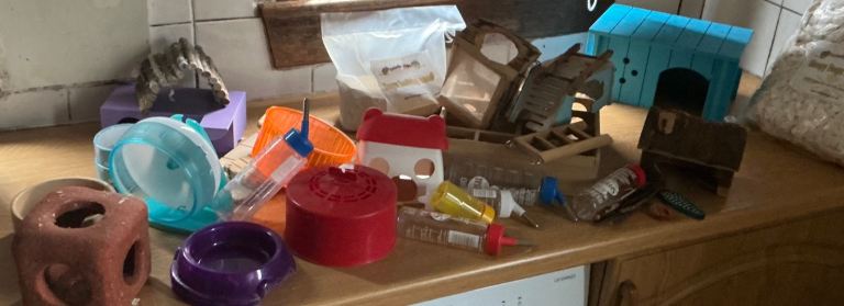 Various hamster accessories.   