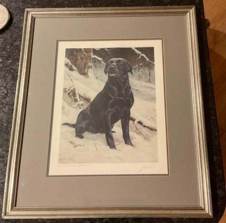 Limited Edition John Trickett Labrador Print - Framed mounted and signed by the artist