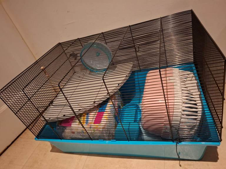 Free Hamster cage, carrier, sand bath & waterbottle