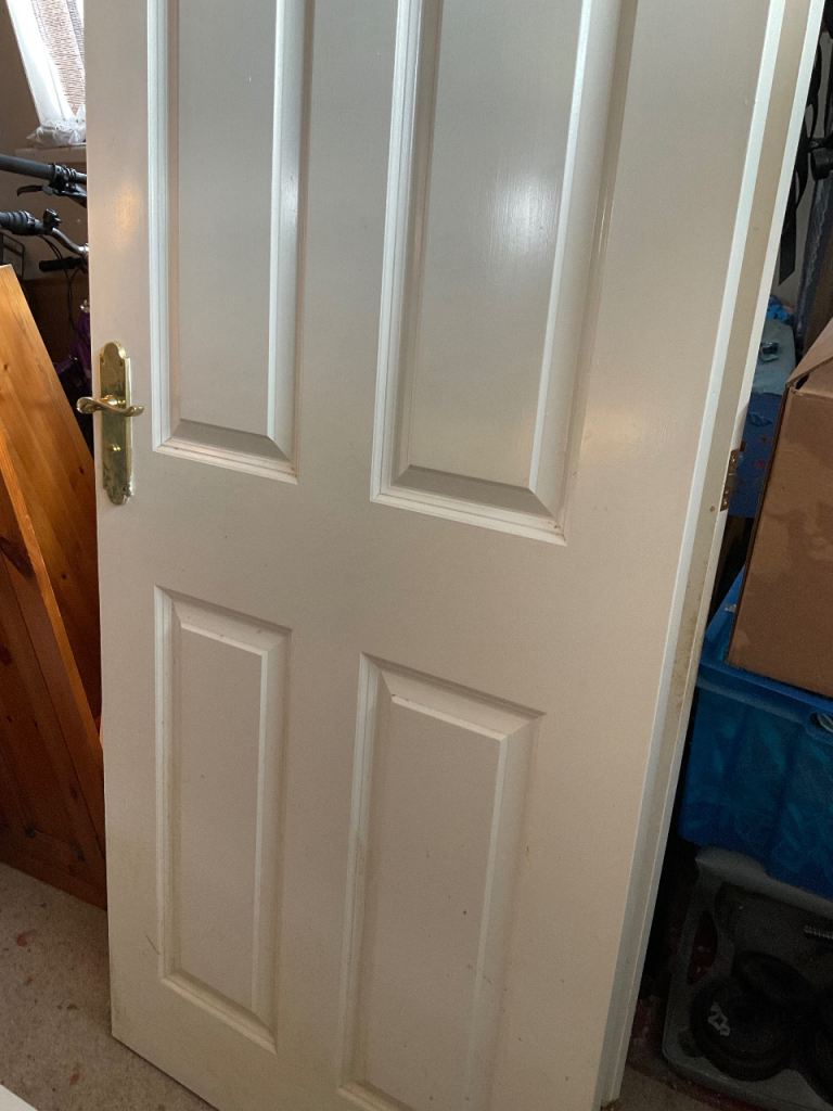 Interior white panel doors
