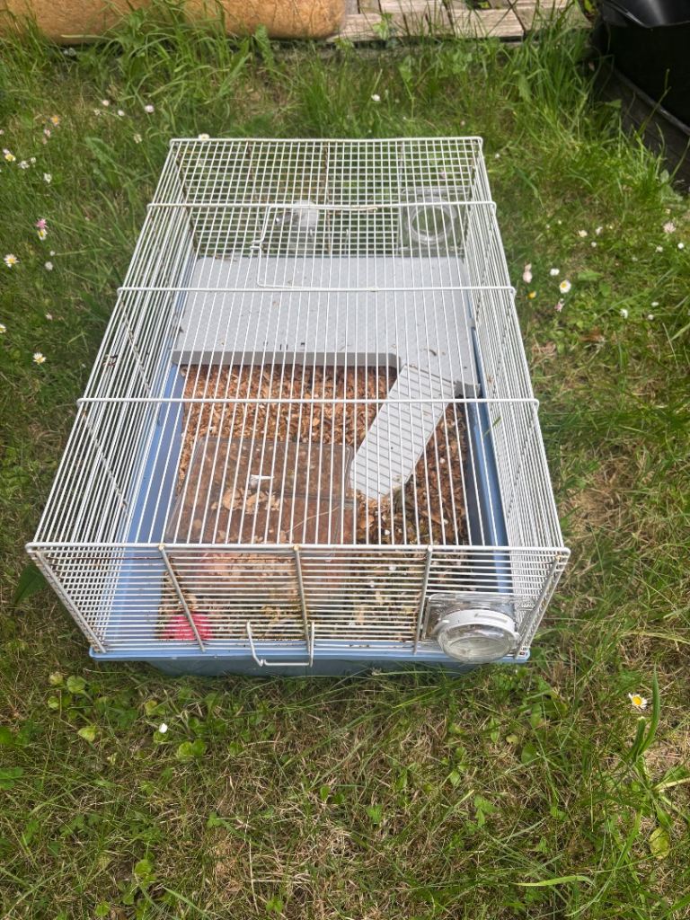 Hamster cage