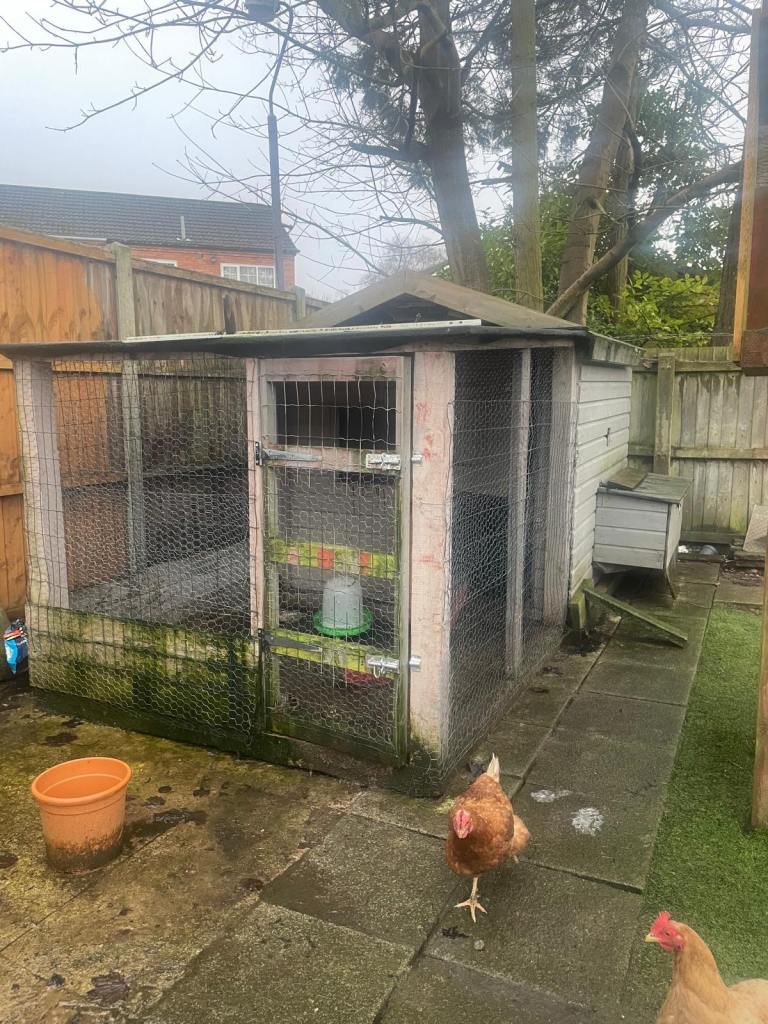 Chicken coop extra large