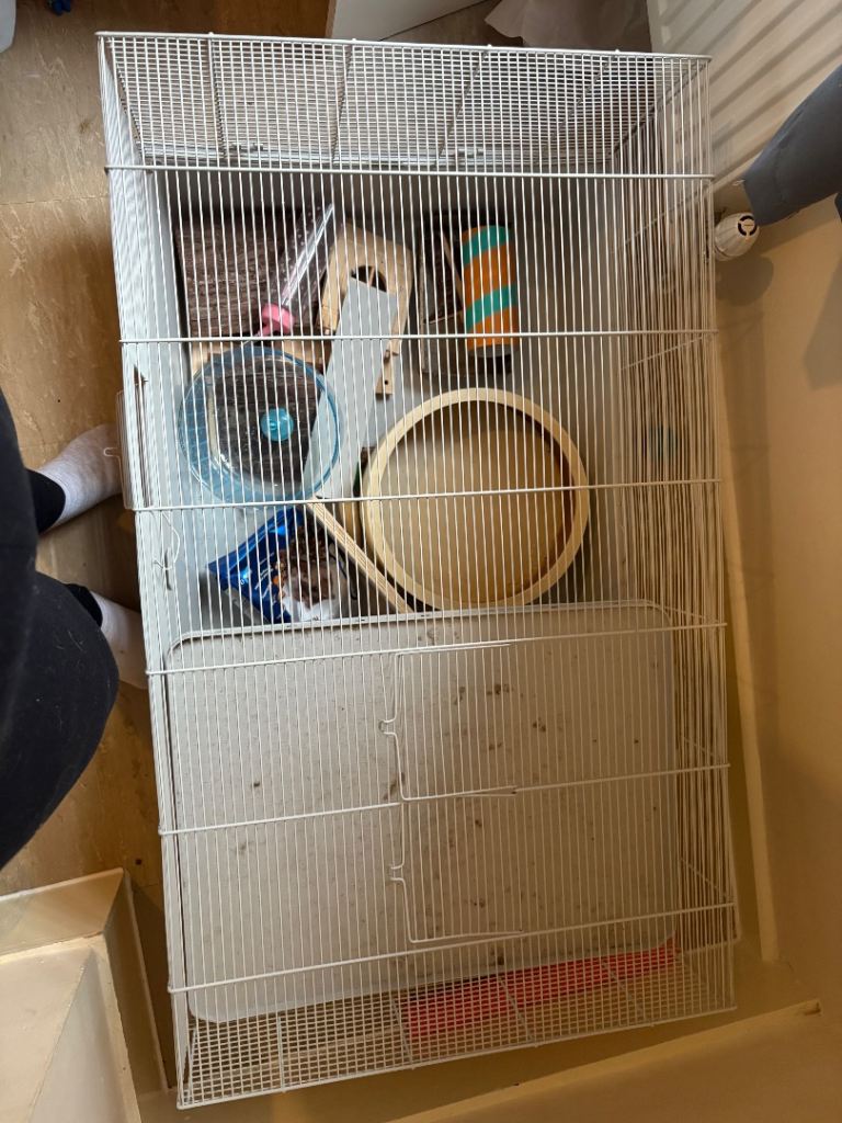 Hamster cage and accessories 
