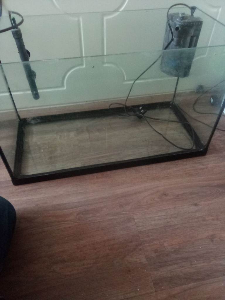 80 litre fish tank 