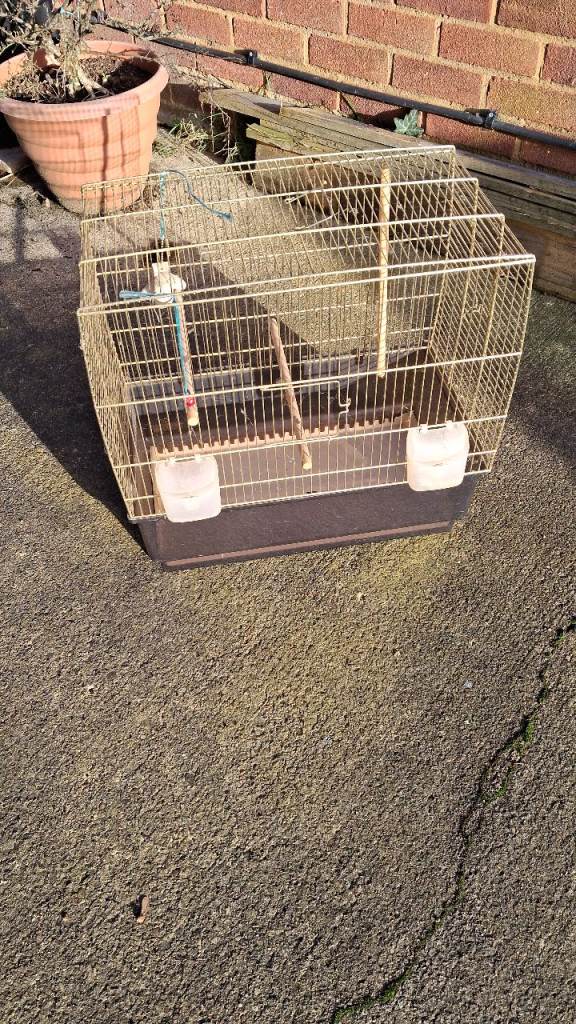 Bird cage, been in garage needs clean.