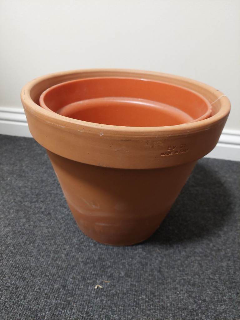 Free big ceramic plant pot
