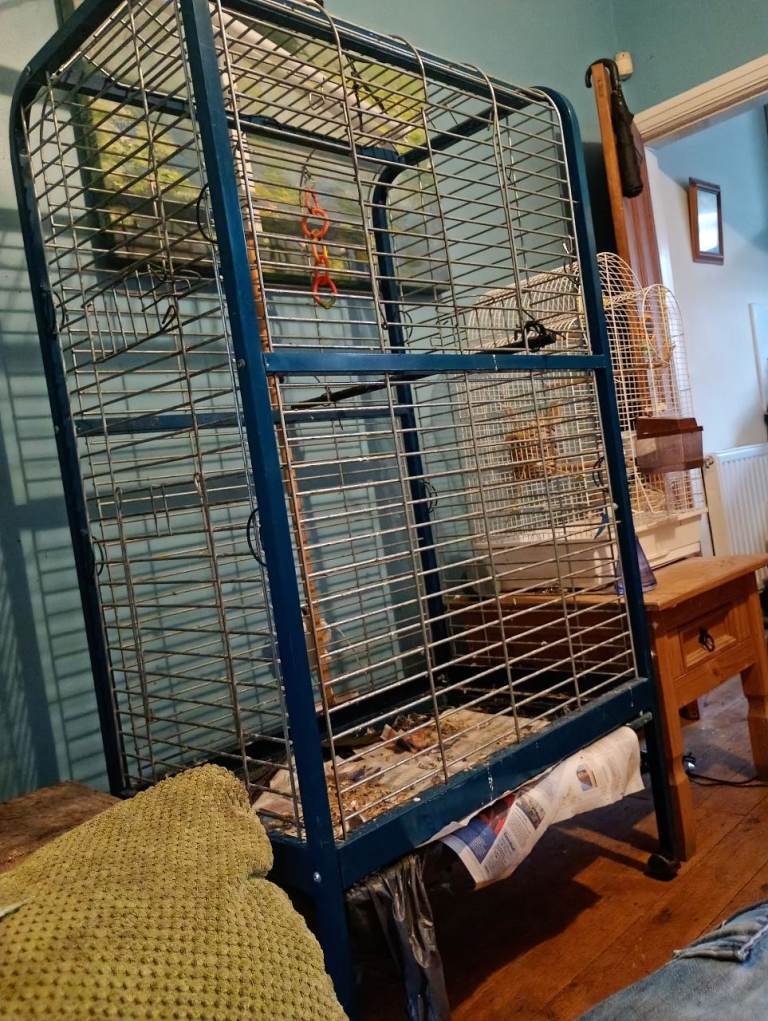 Indoor Parrot cage