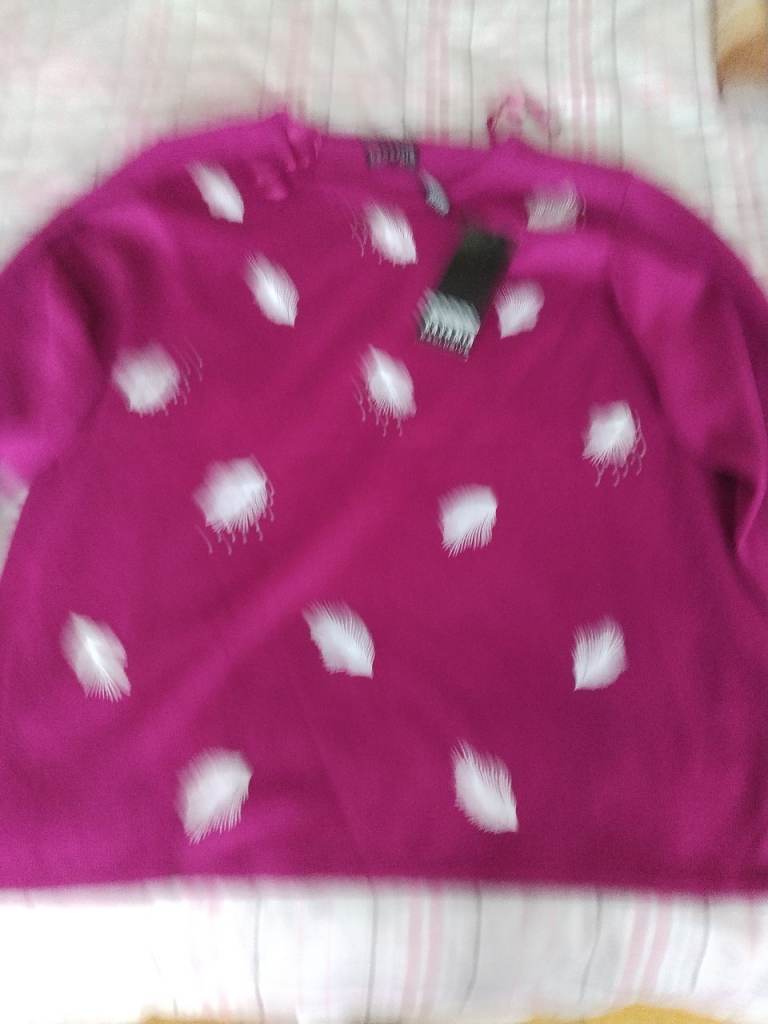 Ladies jumper
