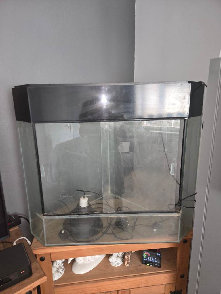 2ft Deluxe Corner vivarium 