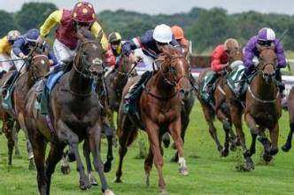 Horse Racing Tickets ledger   friday and saturday 