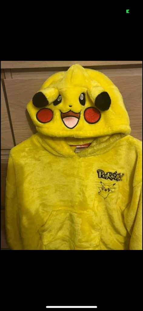 Pokémon hoodie 