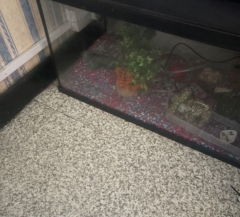 Aquarium Tank Only