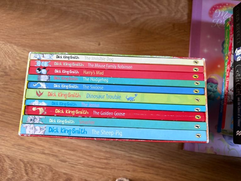 Kids Books - Roald Dahl, David Walliams, Enid Blyton & more!