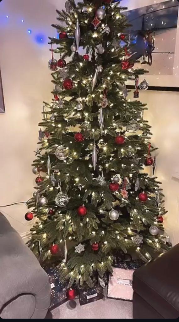 Balsam Hill Nordmann 6ft Artificial Christmas Tree with LED Lights