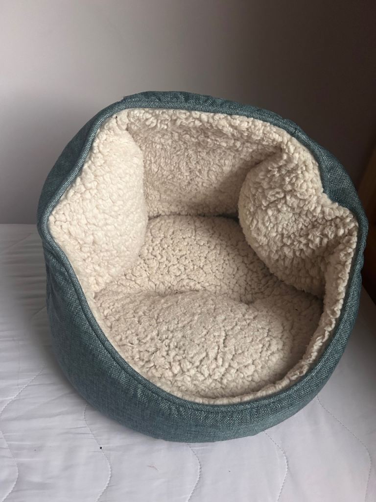 Cat bed
