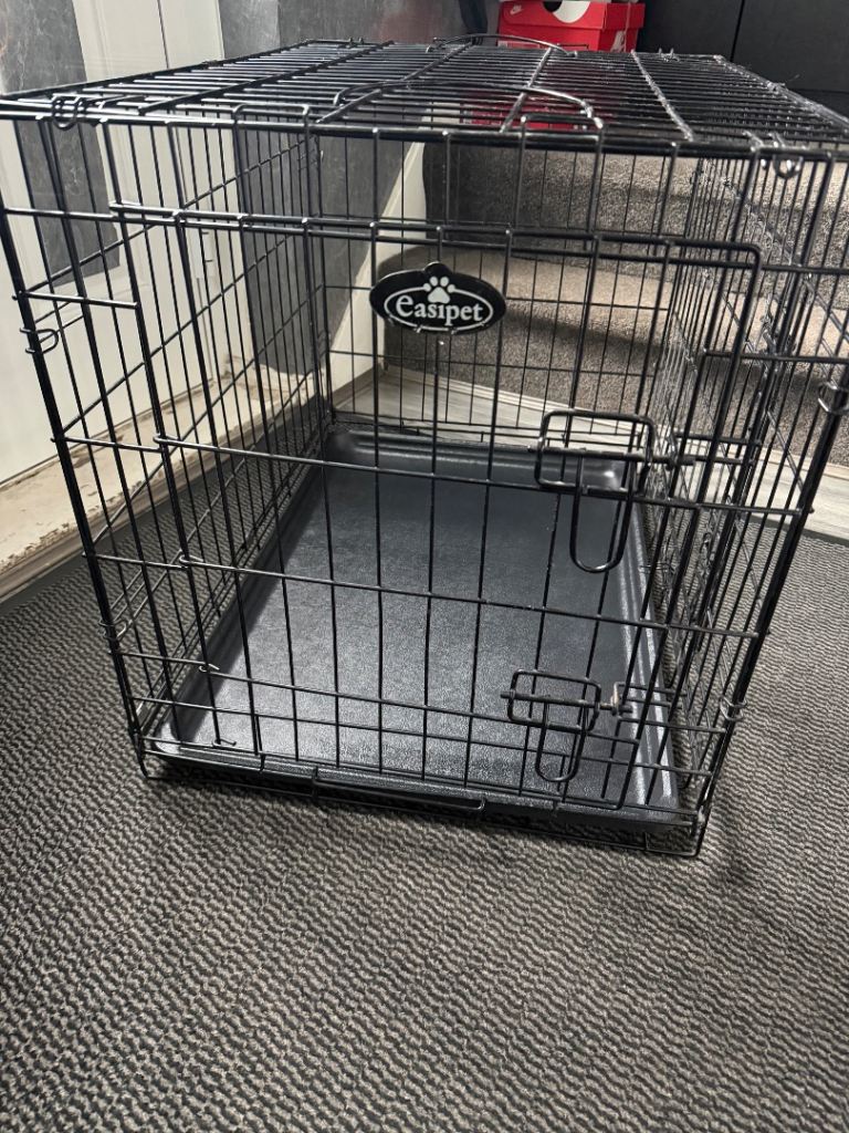 Dog cage 