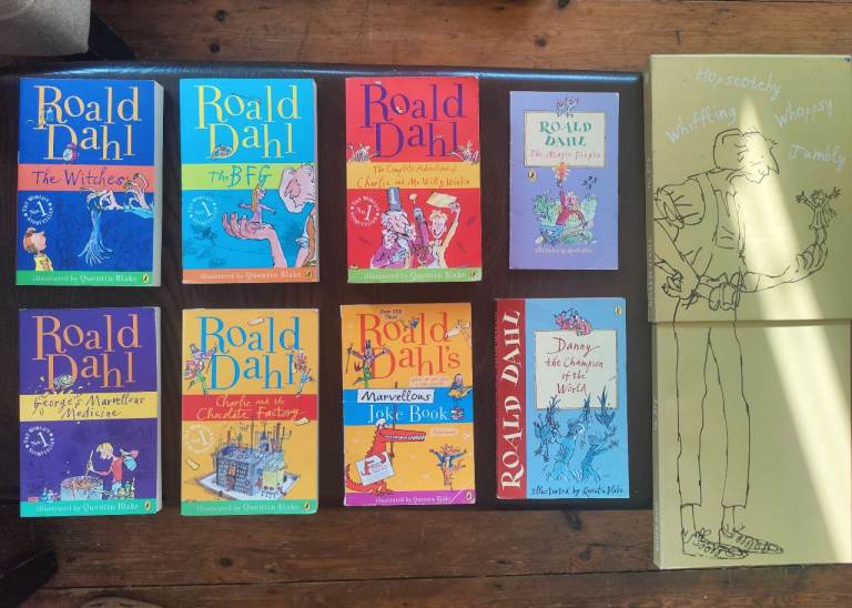 Roald Dahl Book Bundle – Good Condition