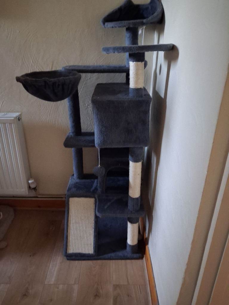 Cat Tree