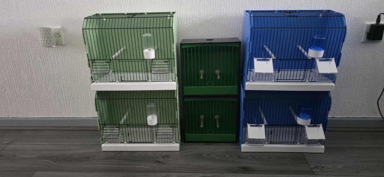 Brand new show cages 