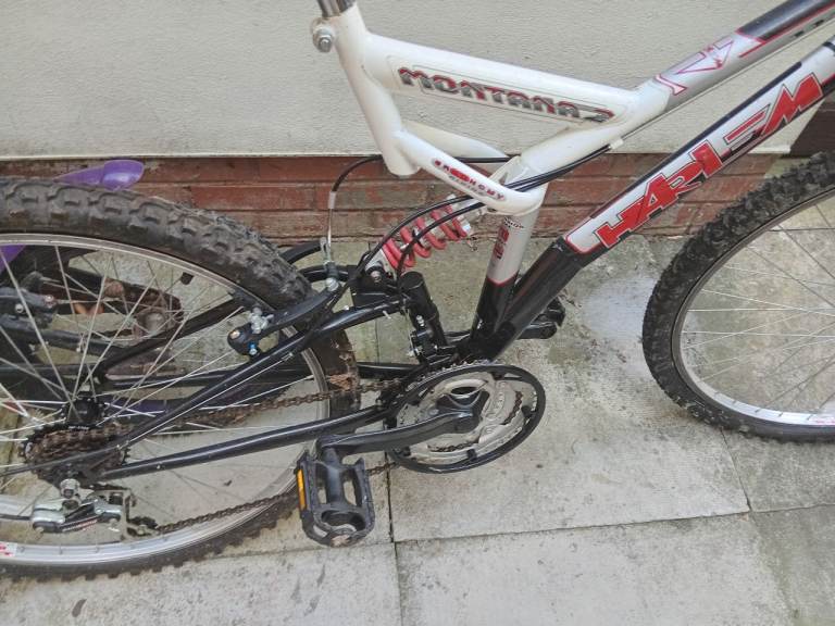 Adult bike