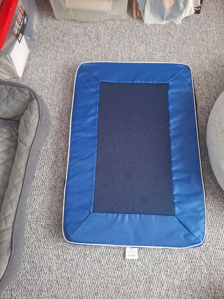 Cooling dog bed 