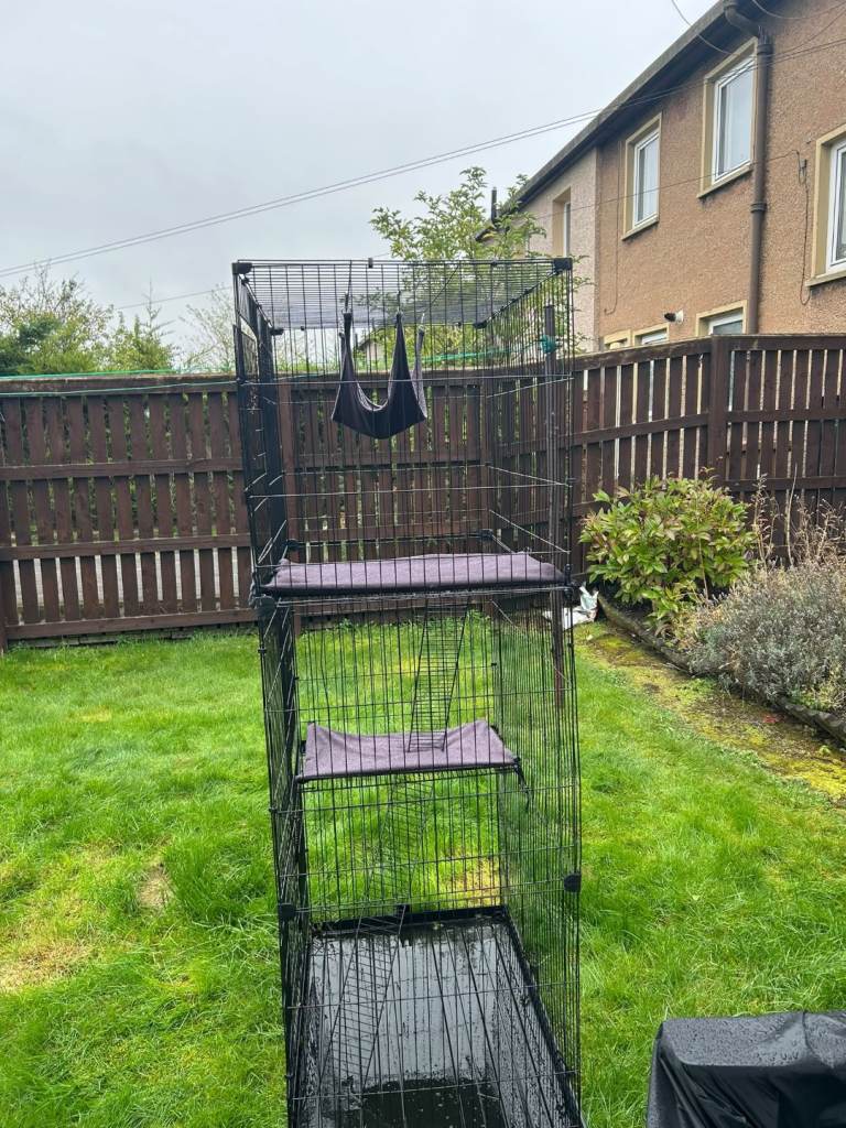 Large catio. 