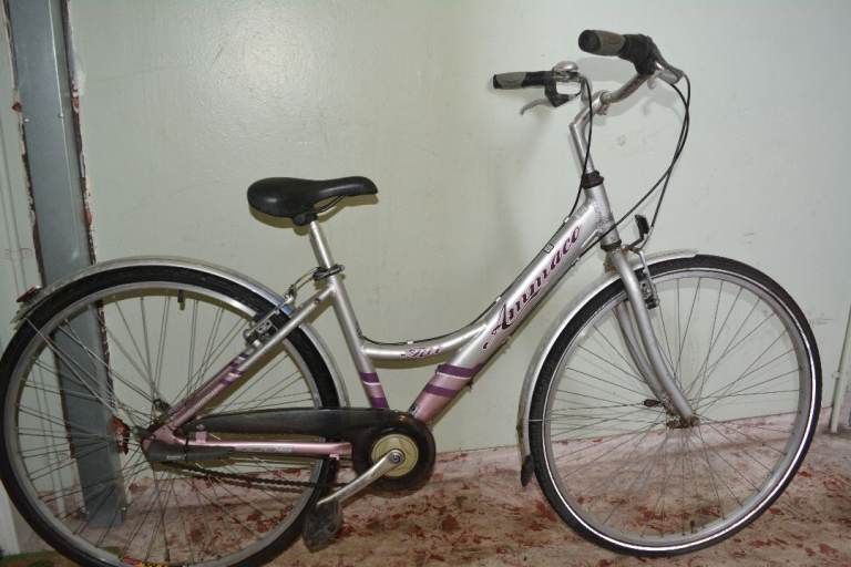 Dutch Style Commuter Bike(15")t