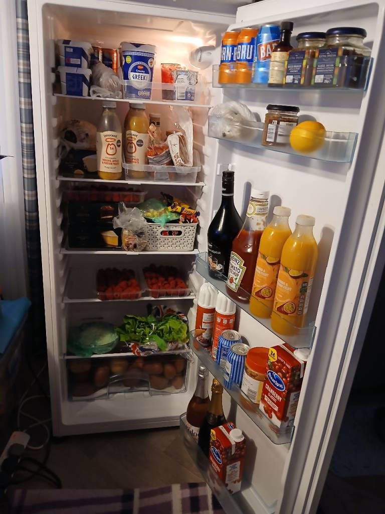 Ice king upright fridge