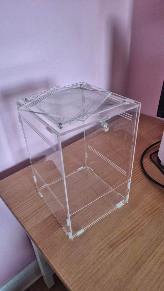 Stick insect tank [insect not included]