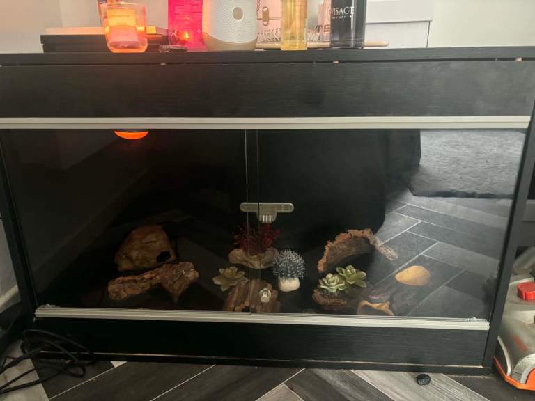 Large vivarium 