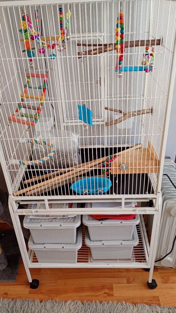 Bird cage