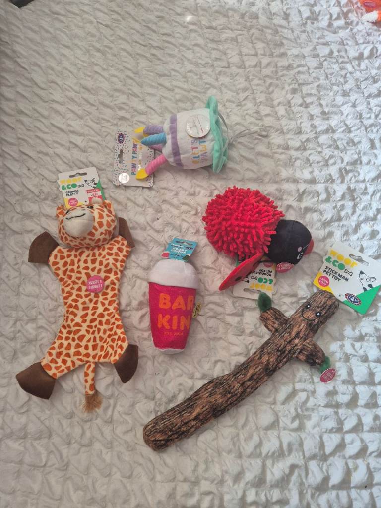 Dog toy bundle 