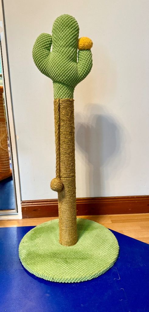 Cactus cat scratching post as new
