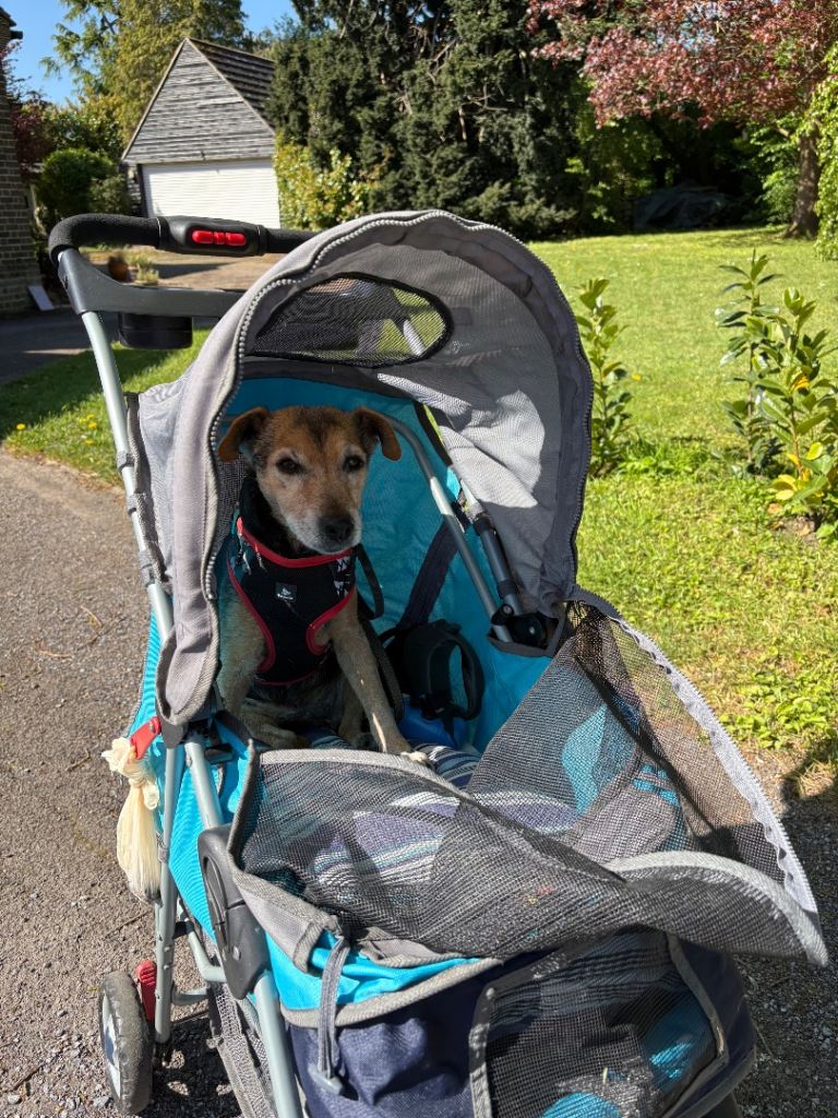 Dog Pushchair Stroller 