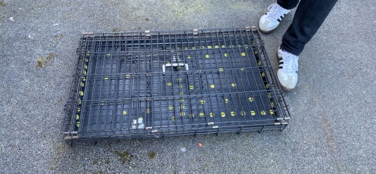 Large dog crate 