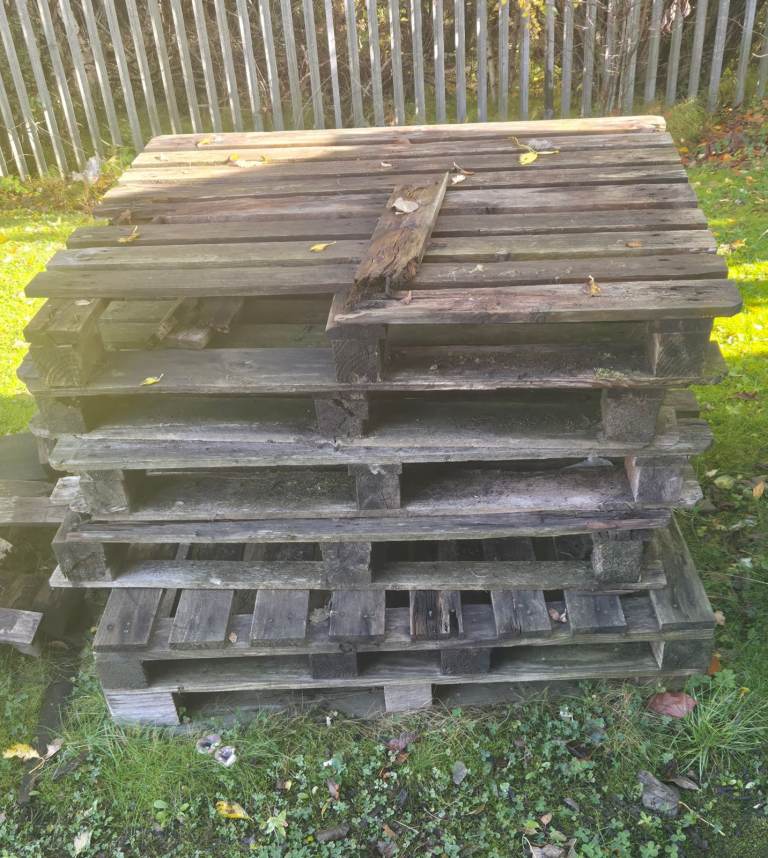 Free pallets for bonfire 🔥 