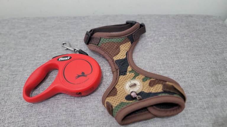 flexi Classic XS 3 m Retractable Cord Lead & Catspia Cat Harness - like new